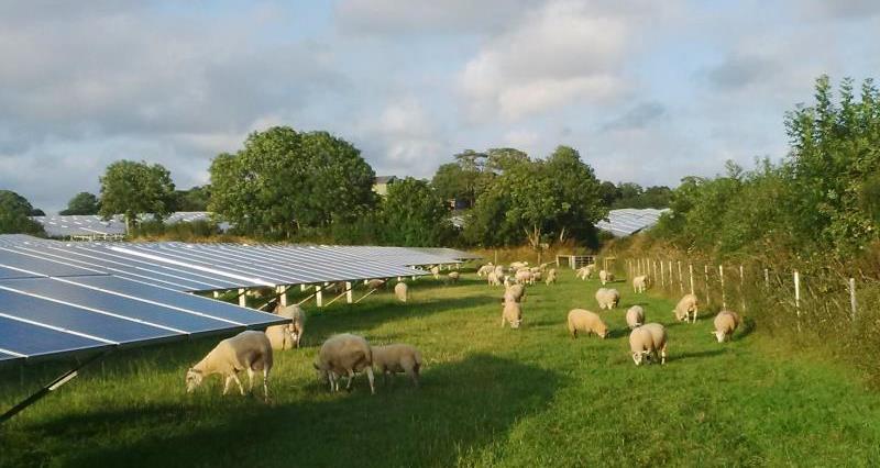 تكلفة الطاقة الشمسية للمزارع